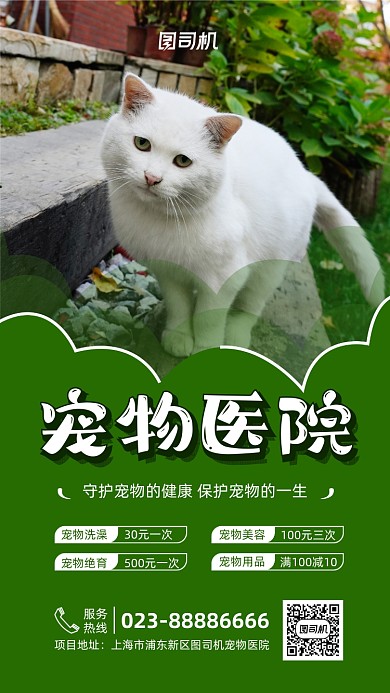 宠物医院宣传促销实景图绿色手机海报