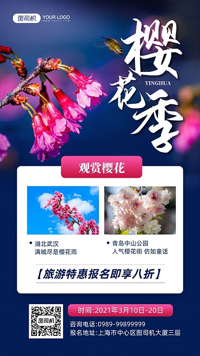 樱花季国内樱花旅游宣传手机海报