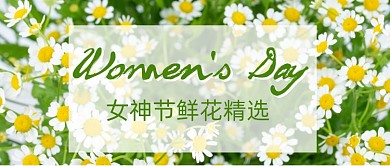 女神节鲜花精选促销公众号首图