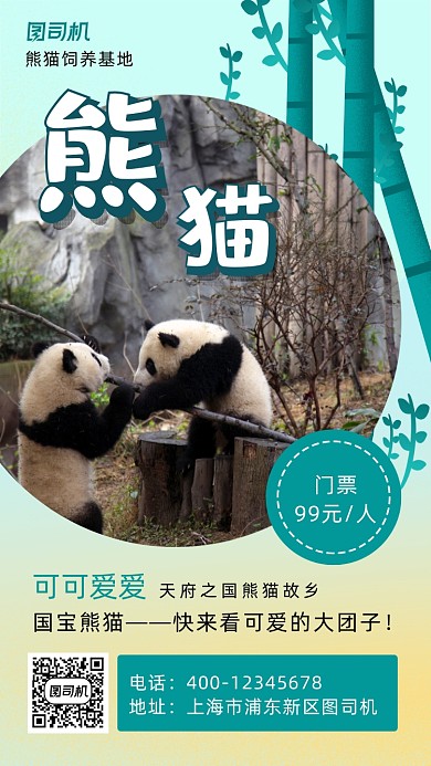 熊猫实景摄影图手机海报