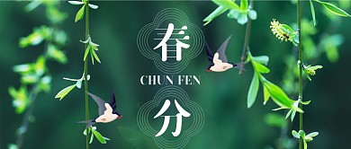 春分节气春天柳树摄影图公众号首图