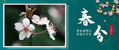 春分节气春天宣传桃花开公众号首图
