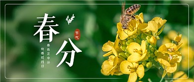 春分节气春天宣传油菜花公众号首图