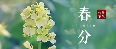 春分节气春天宣传油菜花公众号首图