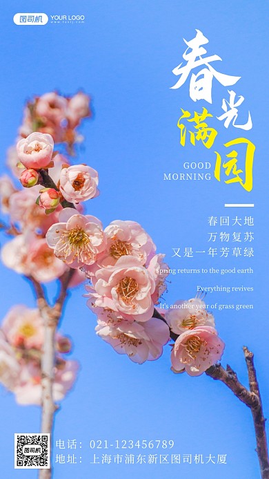 春天唯美樱花摄影手机海报