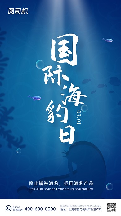 国际海豹日公益蓝色海洋生物手机海报