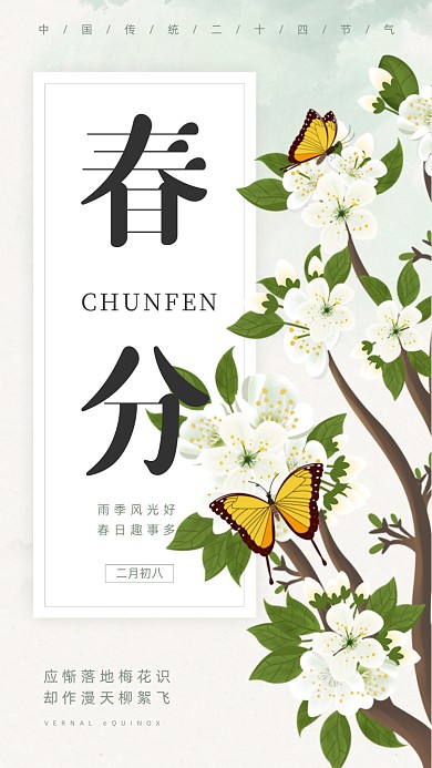 春分节气清新梨花蝴蝶插画手机海报