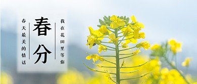 春分简约摄影风油菜花公众号首图