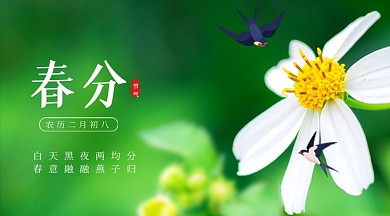 春分节气燕子归来广告banner