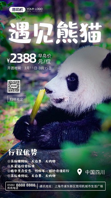 旅行熊猫摄影图手机海报