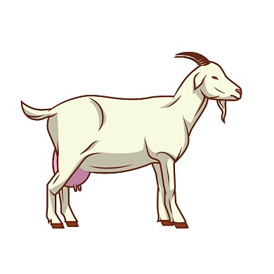 简约手绘山羊简笔画