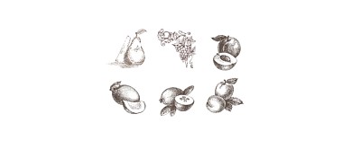 手绘线稿水果集合简笔画
