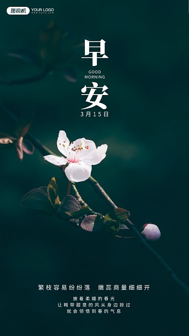 春天盛开的花朵摄影手机海报