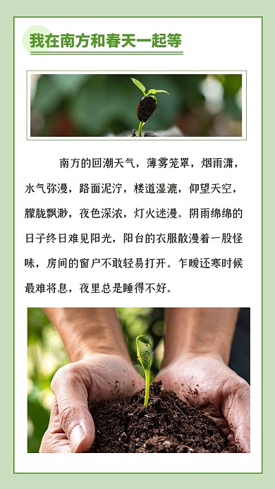 南方的春天春日美景踏青情感文章配图