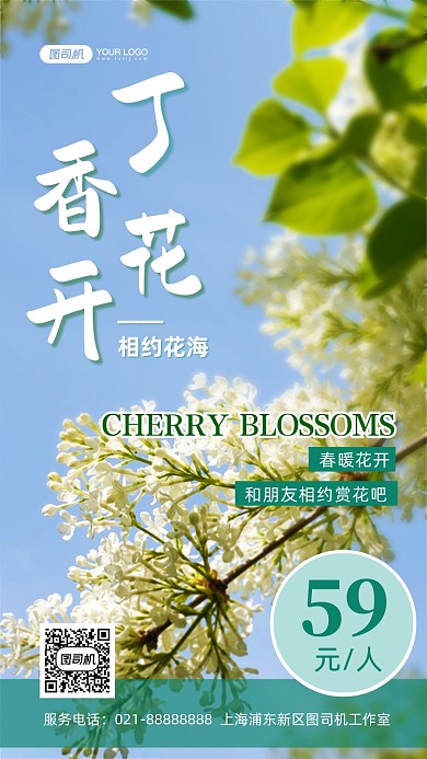 丁香花赏花绿色春游摄影图手机海报