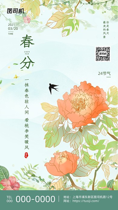春分节气牡丹花插画清新手机海报