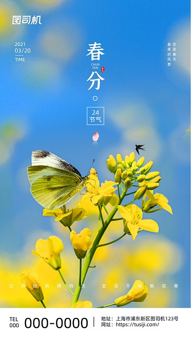 春分节气蓝色小清新简约手机海报
