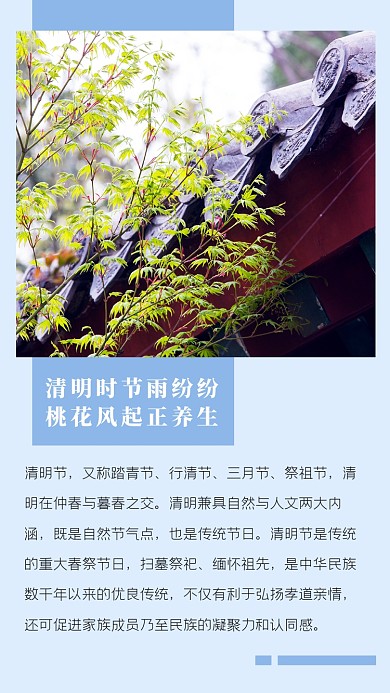 清明节介绍浅蓝色文艺清新竖版配图