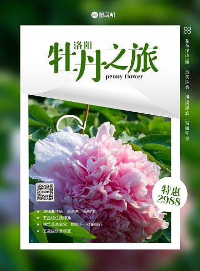 牡丹花开洛阳之旅绿色写实印刷海报