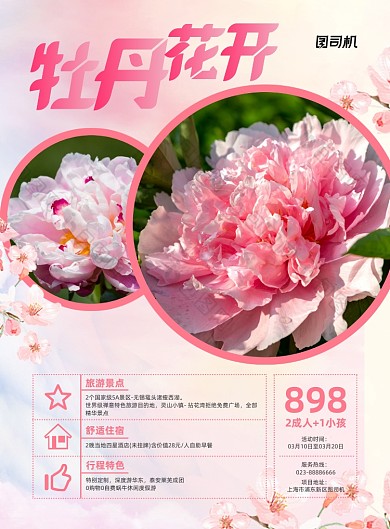 牡丹花开粉色花园印刷海报