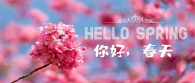 你好春天春暖花开摄影图赏花踏青公众号首图
