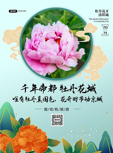 洛阳牡丹花开摄影图旅游印刷海报