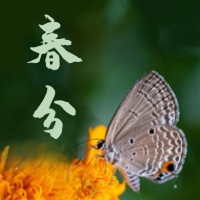 春分节气花开蝴蝶春天你好公众号次图