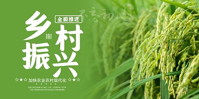 乡村振兴农业麦穗实景展板