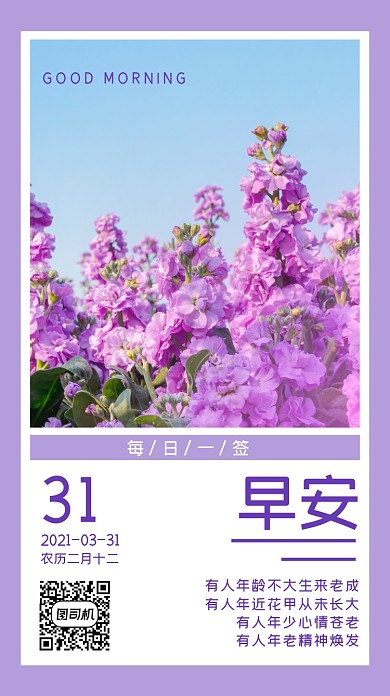 日签早安春天紫罗兰手机海报