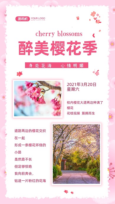 樱花旅游相册晒图文艺清新手机海报