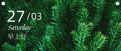 早安早上好绿色植物励志日签公众号首图