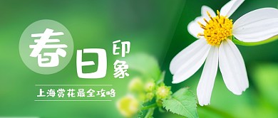 春天印象赏花旅游踏青周末出游公众号首图
