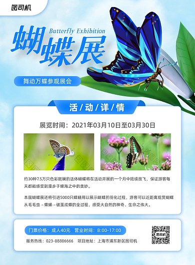 蝴蝶展览会蓝色梦幻蝴蝶印刷海报