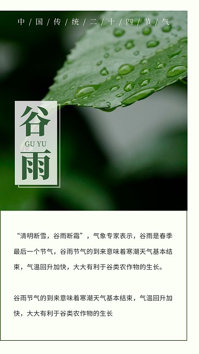 传统节气谷雨下雨春天文艺清新竖版配图