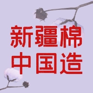 新疆棉花中国造支持国货公众号次图
