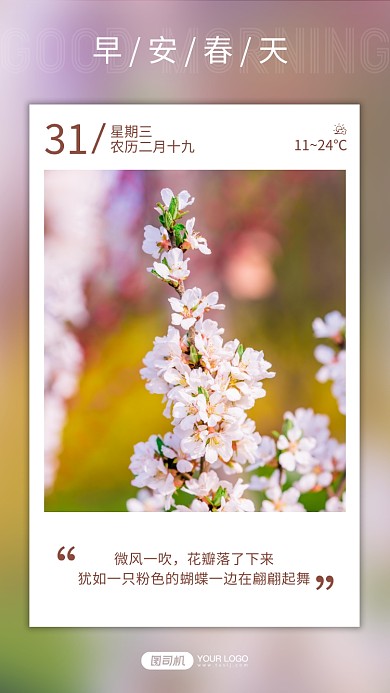 早安春天唯美摄影手机海报