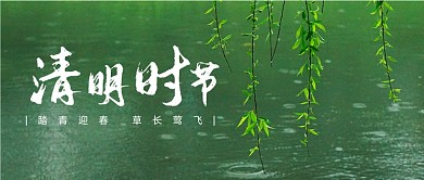 清明节春天柳树摄影图公众号首图