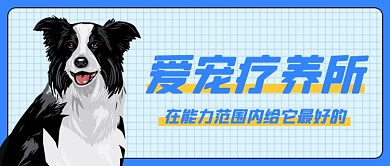 宠物疗养所萌宠狗狗猫咪医疗公众号首图