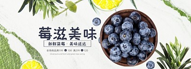 新鲜水果蓝莓全屏海报banner