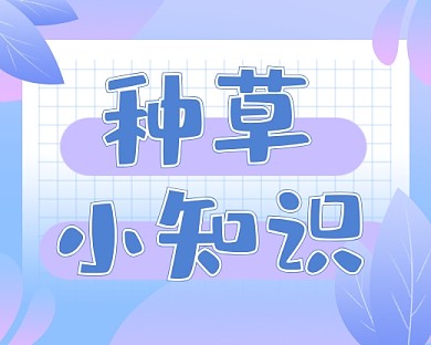 美妆服饰上新种草小知识小程序封面