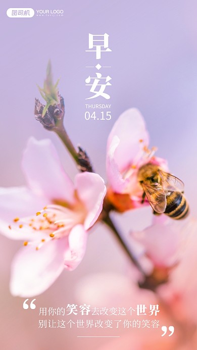 采蜜的蜜蜂唯美摄影手机海报