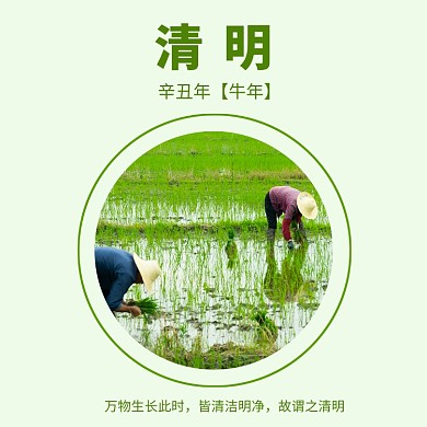 清明节春天插秧播种节气方形配图