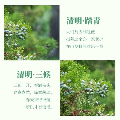 清明节踏青旅游春天诗歌方形配图