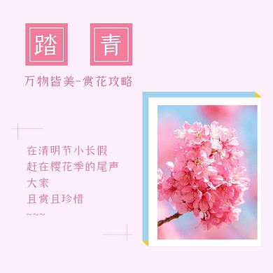 清明小长假踏青赏花樱花开方形配图