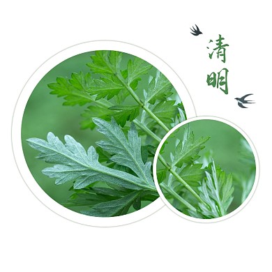 清明节出行旅游祭祖踏青方形配图