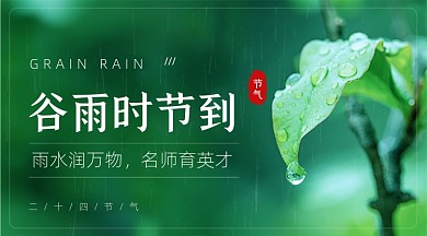 谷雨节气春天叶子下雨绿色广告banner