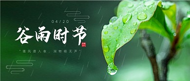 谷雨时节节气春天下雨叶子简约公众号首图