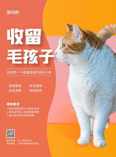 收留毛孩子宠物领养商务印刷海报