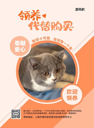 领养代替购买宠物商务印刷海报