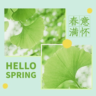 你好春天夏天春意满怀银杏叶子方形配图